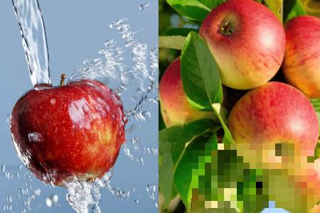 >三日苹果减肥法能瘦几斤 注意营养均衡是关键