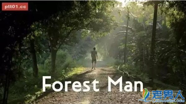 >36年创造了一片森林 在印度人们叫他“森林之子”