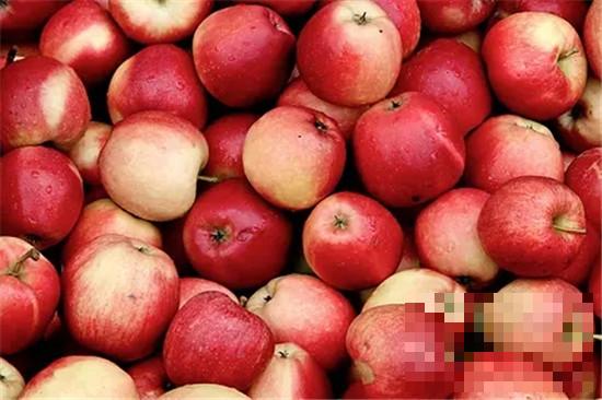 苹果酱的营养价值 预防癌症的功效
