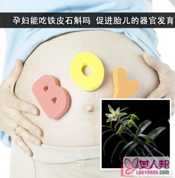 孕妇能吃铁皮石斛吗 促进胎儿的器官发育