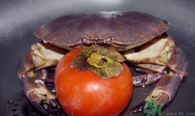 >螃蟹和柿子能一起吃吗？螃蟹和柿子一起吃会怎样？