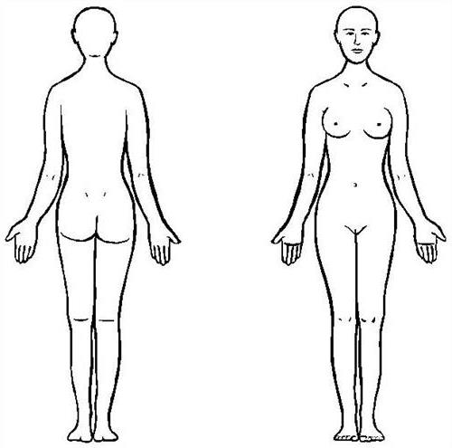>女性人体器官写真|陈玉琴人体使用手册图|女性阴虱图片