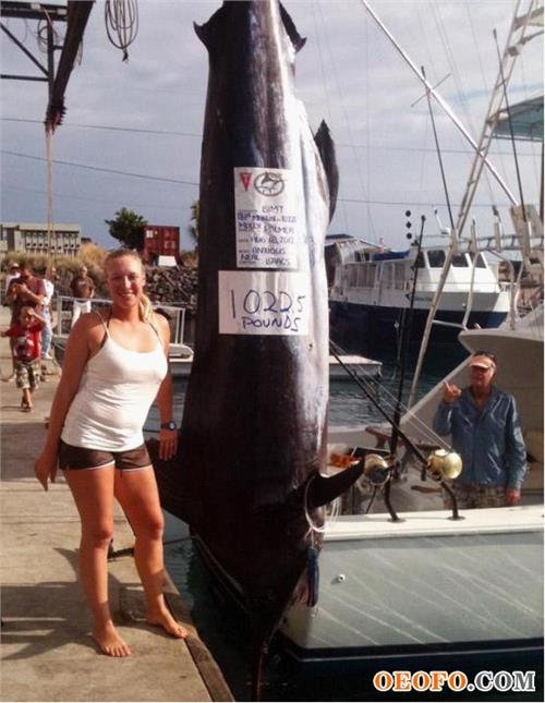女子钓到创世界纪录半吨重的马林鱼 但未能赢得钓鱼大赛