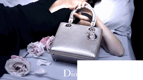 Lady Dior包包 Dior Saddle Bag包包Dior Diorama包包Bar Jacket包包Fontanges包包