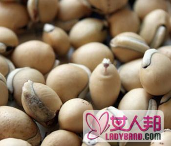 【白扁豆的副作用】白扁豆的饮食禁忌_白扁豆的营养与功效