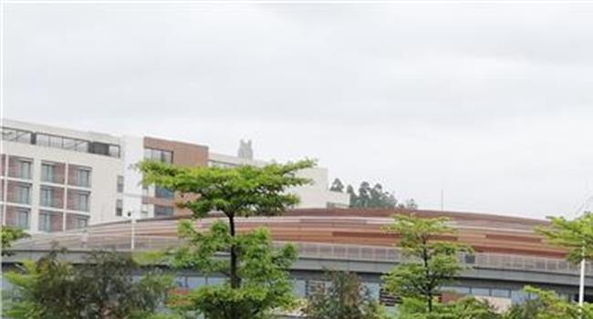 【汕头大学第一附属医院】汕头大学是几本 是一本还是二本