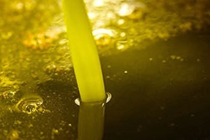 葡萄籽油怎么吃？葡萄籽油可以生吃吗