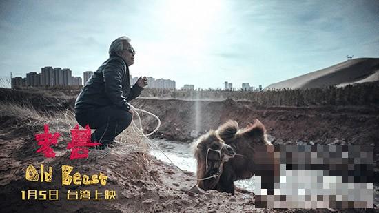 >《老兽》1月5日台湾上映 周子陽呈现中国式亲情塌方