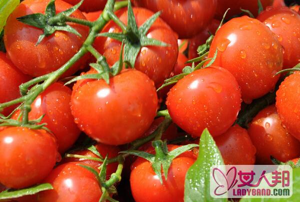 >吃西红柿能减肥吗 怎么吃西红柿减肥