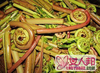 蕨菜的功效与作用 蕨菜有清肠排毒的功效