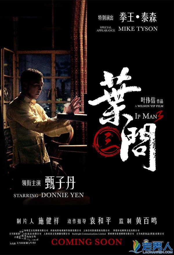 揭《叶问3》剧情角色上映时间获奖成就首映票房