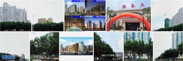 >名城地产俞培俤 乘自贸区东风加速转型 大名城探索“地产 ”模式