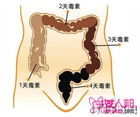 >宿便减肥两者之间的直接关系    为何清宿便刻不容缓