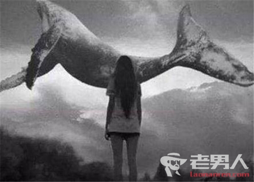 俄罗斯自杀游戏潜入中国 代号“蓝鲸”是个什么梗