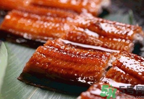 >韩国餐厅烤活鳗鱼你敢吃吗?活鳗鱼怎么做好吃?