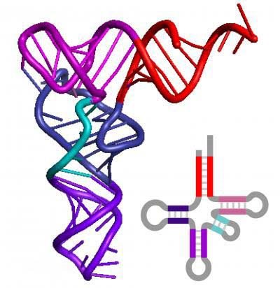 >高福新发现 中国科学家发现1445种新RNA病毒 有望填补进化空白