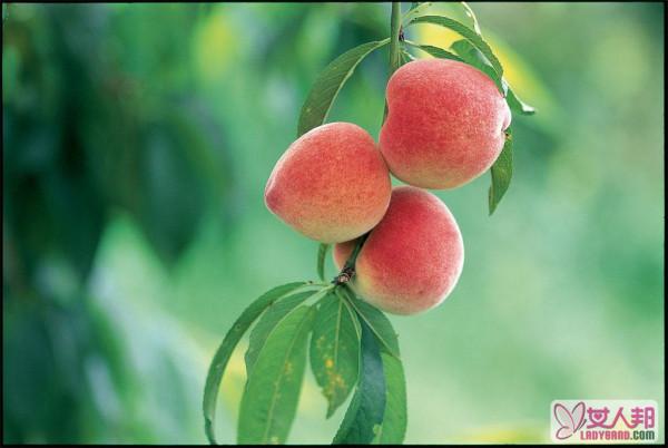 水蜜桃的营养价值有哪些