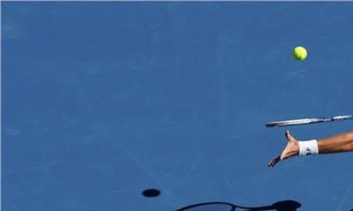 网球伯蒂奇 网球运动员托马斯·伯蒂奇介绍