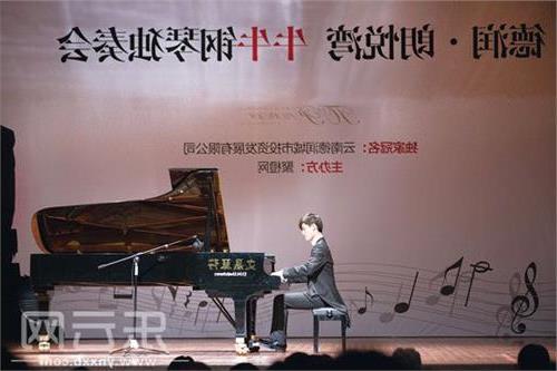王宏伟杨姗姗的孩子 揭秘:王宏伟与钢琴家妻子的幸福生活