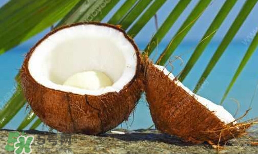 椰子什么时候成熟？椰子什么时候吃最好