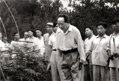 毛泽东父亲毛顺生 韶山发现毛泽东塾师墓地 对毛泽东影响最大