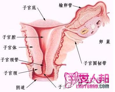 >x.a时间长久容易引起女性盆腔炎