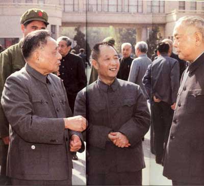 邓小平1991年遭邓力群带头反对:得江泽民支持