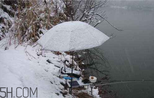 下雪天能钓鱼吗 下雪天好钓鱼吗
