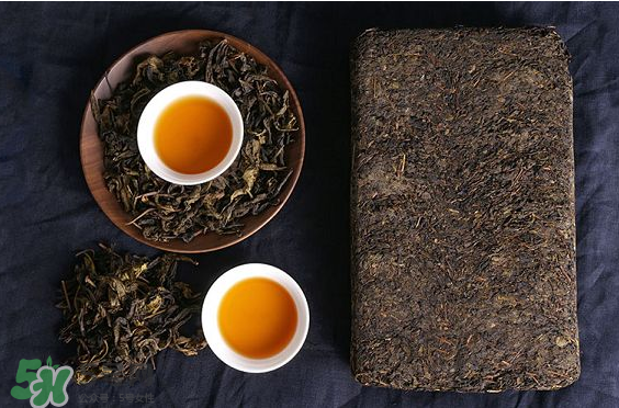 >茯茶是热性还是凉性？茯茶是不是放越久越好？