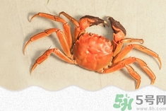 螃蟹可以和榴莲一起吃吗?螃蟹能和榴莲同吃吗?