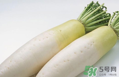 白萝卜皮的营养价值 白萝卜皮的功效与作用及做法