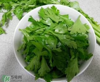 芹菜叶怎么吃？芹菜叶吃法