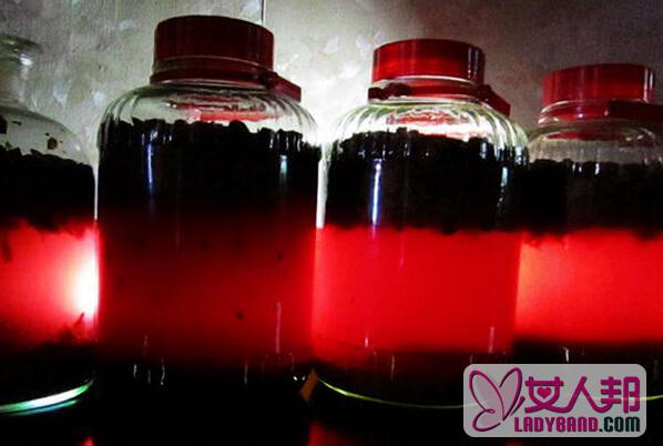 >红提子酒的材料和酿制方法