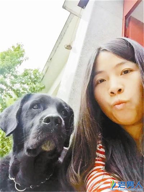 >导盲犬被送回主人身边   身上贴“请求原谅”字条