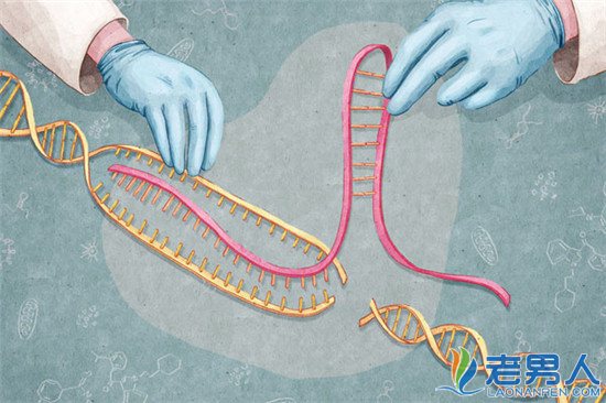 断食能饿死癌细胞？ 盘点人类对癌症的十大误区