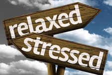 压力大有哪些影响 如何调理压力荷尔蒙