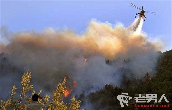 希腊雅典突发森林大火 火势迅速蔓延已致2人死亡