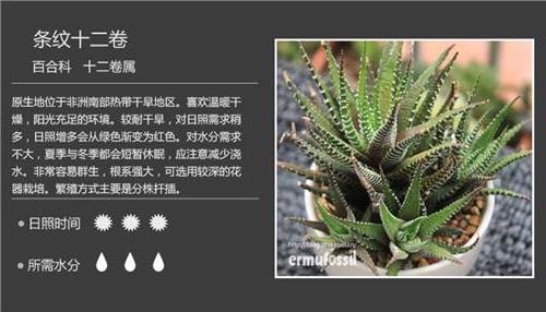 >中国植物彩色图鉴|非洲有一种壮阳的植物叫什么