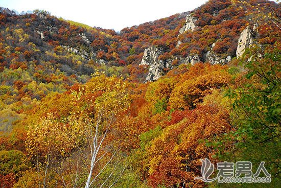 天上掉馅饼！APEC放假去哪里？