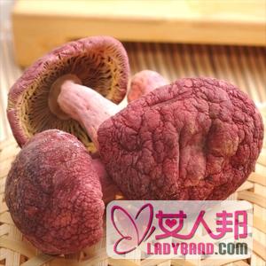 【红蘑菇的做法】红蘑菇的功效_红蘑菇的营养价值