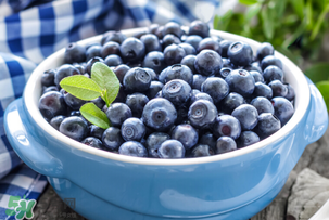 蓝莓变软了还能吃吗？蓝莓发软了还能吃吗？