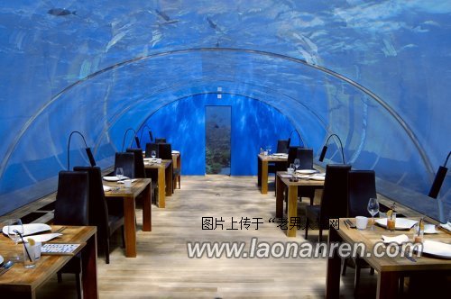 全球唯一全玻璃海底餐厅曝光【图】