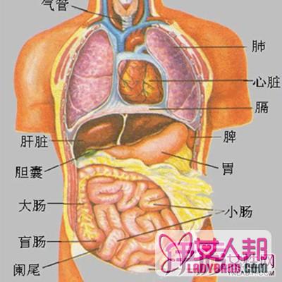 常见的腹股沟斜疝图片欣赏 术后护理是关键