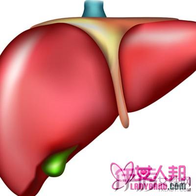 该怎样保养肝脏？ 8个小窍门轻松拥有一个健康的肝脏