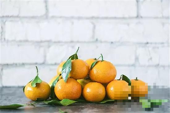 橘皮的营养价值 促进胃肠蠕动