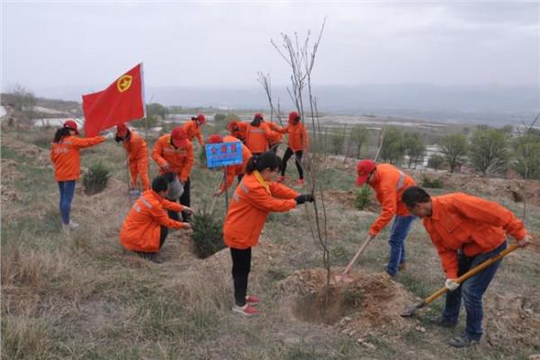 生态立县 绿色发展——专访临洮县委书记石琳