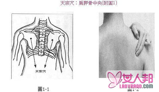 >真人全裸出镜演示经络丰胸