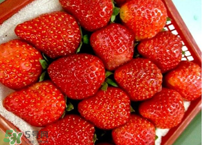 新鲜草莓怎么做好吃？新鲜草莓的吃法