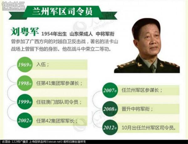 陈照海简历 七大军区副司令员有多少个 空军副司令员陈东简历