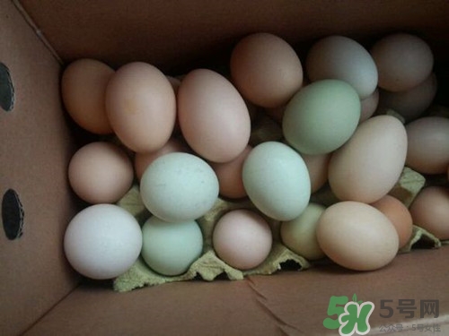 绿皮鸡蛋是什么鸡下的?绿皮鸡蛋的营养价值